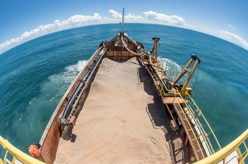 Fertilizante a base de alga é alternativa eficaz para falta de insumos agrícolas